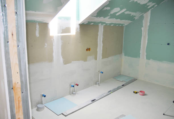 Best Drywall Sanding and Smoothing  in Linganore, MD