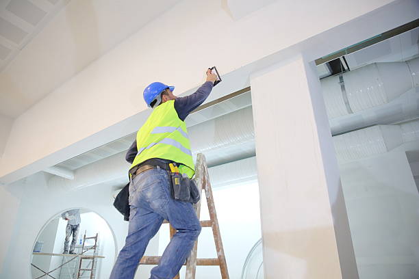 Best Commercial Painting  in Linganore, MD